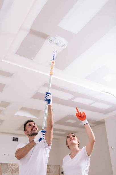 Reliable St Paul, NE Mold Removal Solutions